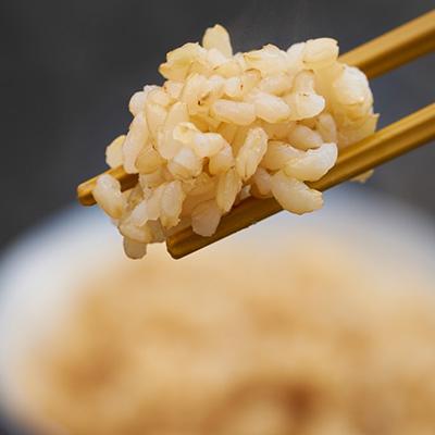 ふるさと納税 多古町 多古米パックご飯(玄米)150g×18パック |  | 01