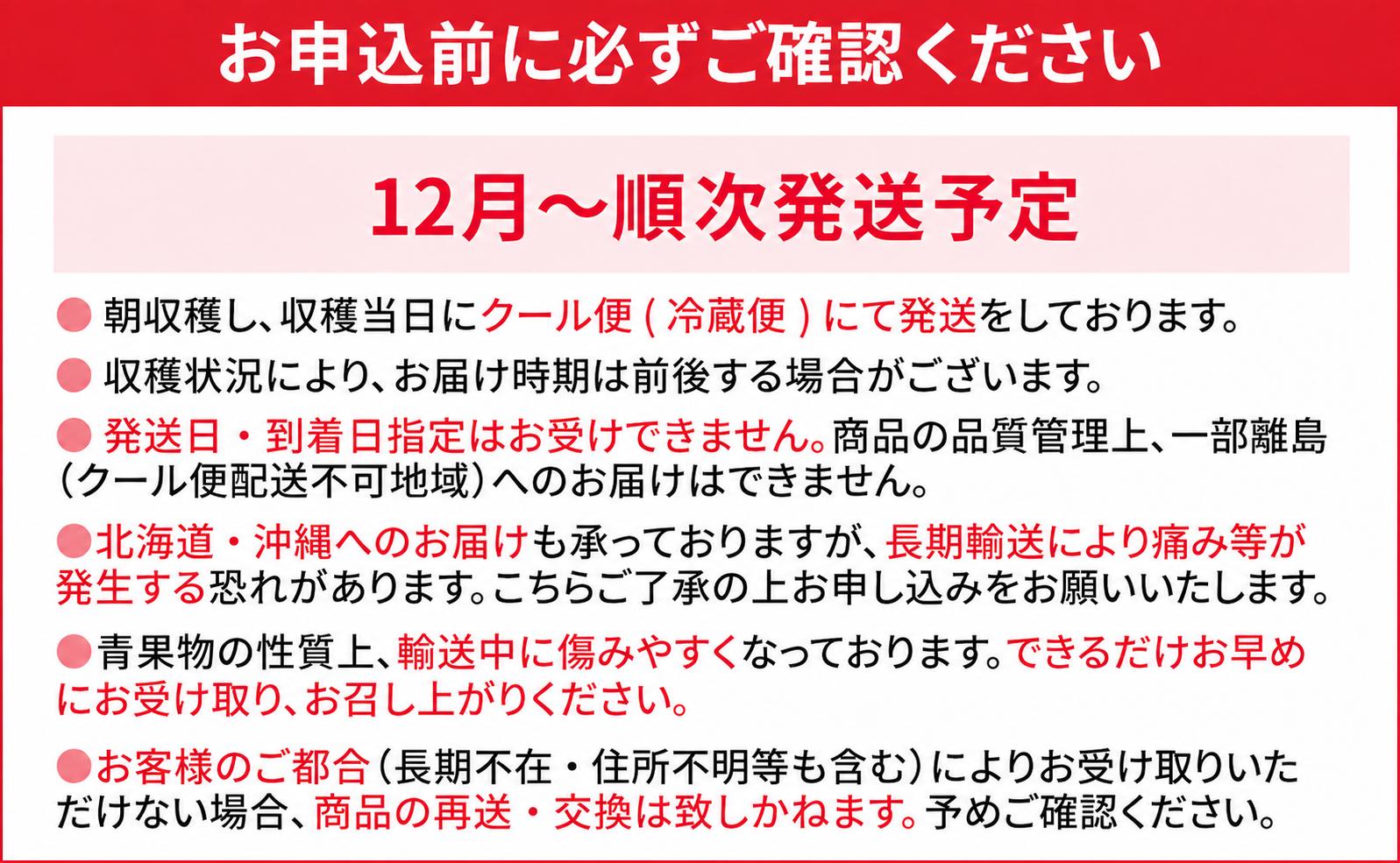 年内発送 12月限定 高級 あまおう ギフト 数量限定 400g以上（約12粒～16粒程度）【2026年12月出荷予定】 福岡県 大木町 BD06