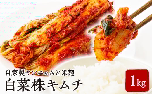 中辛　白菜株キムチ1kg【1634999】
