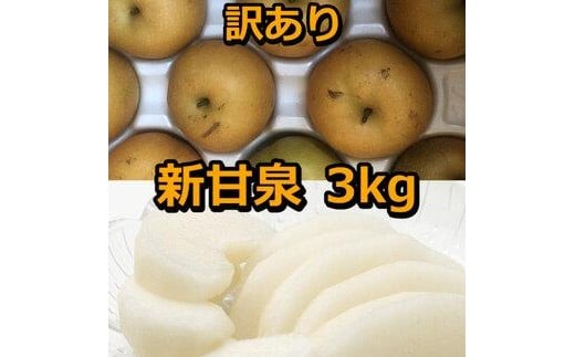 954.【訳あり】新甘泉 3kg（梨）※8月下旬頃～9月中旬頃に順次発送【先行予約 梨 なし 果物 フルーツ くだもの 鳥取県 北栄町 おすすめ 人気 送料無料】