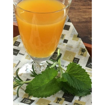 「島育ち」柑橘ジュース500ml× 6本セット[3種類 各2本ずつ](丸大青果　大三島町)【B71】【1094463】