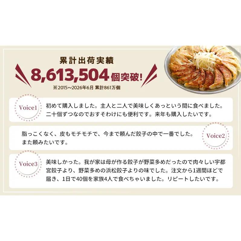 【定期便6回】浜松餃子 80個 (20個×4袋) セット 詰め合わせ 餃子のたれ 小袋 知久屋 国産 ぎょうざ 餃子 ギョーザ 冷凍餃子 冷凍ギョーザ 工場直送 ヘルシー あっさり 惣菜 中華 点心 