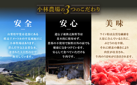 小林牧場の甲州ワインビーフカレー＆ビーフシチュー