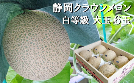 クラウンメロン マスクメロン 並 白等級 大玉 クラウンメロン【約1.4kg 6玉】