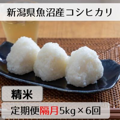 ふるさと納税 十日町市 【2ヵ月毎定期便】新潟県魚沼産コシヒカリ「山清水米」精米5kg全6回