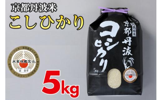 令和7年産 新米 京都丹波米こしひかり5kg 白米 ◇◆◇ 食味鑑定士厳選 京都丹波産 ふるさと納税米 ※精米したてをお届け ※北海道・沖縄・離島への配送不可