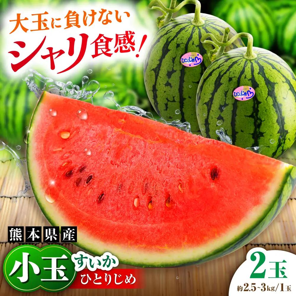 【先行予約】【2027年4月中旬より順次発送】小玉すいか 2玉入（1玉 約2.5kgから3kg） スイカ[AYAB056]