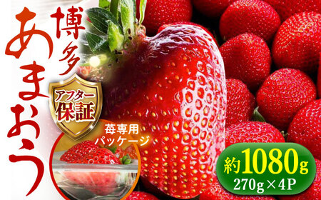 【1月上旬より順次発送】農家直送 朝採り新鮮いちご【博多あまおう】約270g×4パック《築上町》【株式会社H&Futures】 いちご [ABDG002] いちご いちご いちご いちご いちご