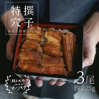 ふるさと納税 瀬戸内市 あなご 料理専門店の〜ふっくら肉厚〜 特撰【 焼きあなご 3尾入 】 [No.5735-3385]