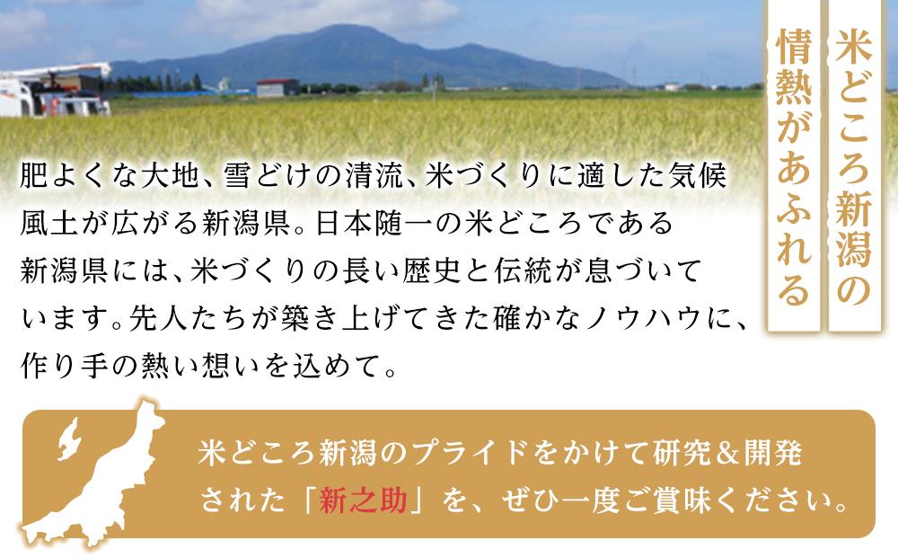 【パックごはん】新之助ごはん150g×24個