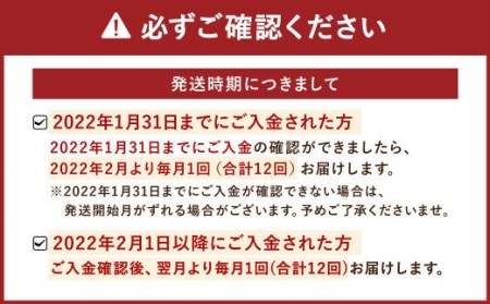 【定期便12回】豊野の恵み 野菜 果物 10品目程度 米 詰め合わせ