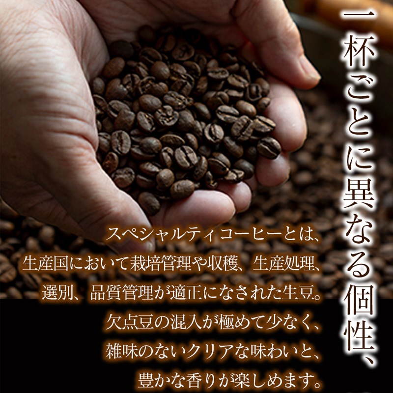 スペシャリティコーヒー詰め合わせセット（パナマゲイシャ100g＋スペシャリティブレンド200g）（豆）