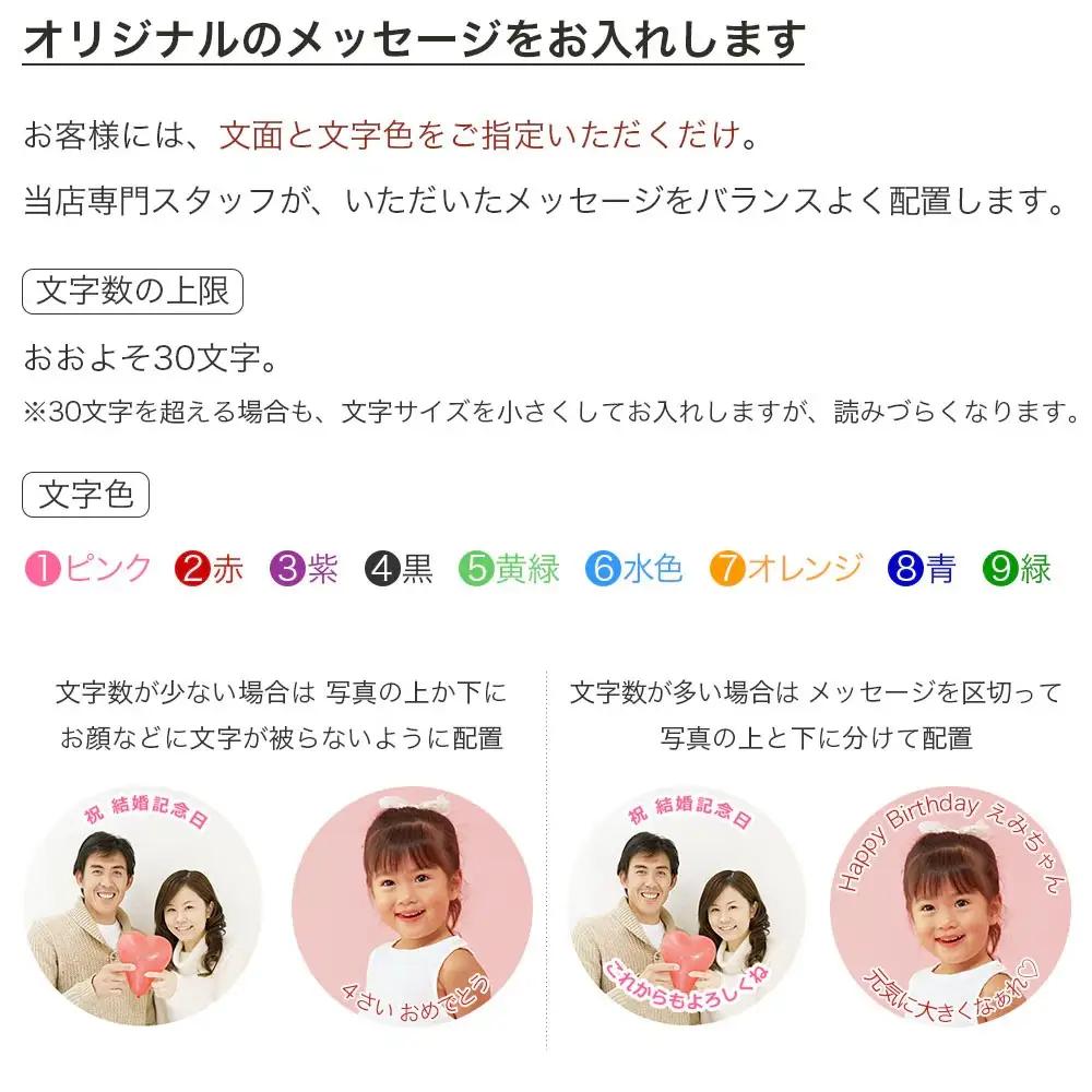 スフレチーズ チーズケーキ 6号 写真ケーキ スフレチーズ