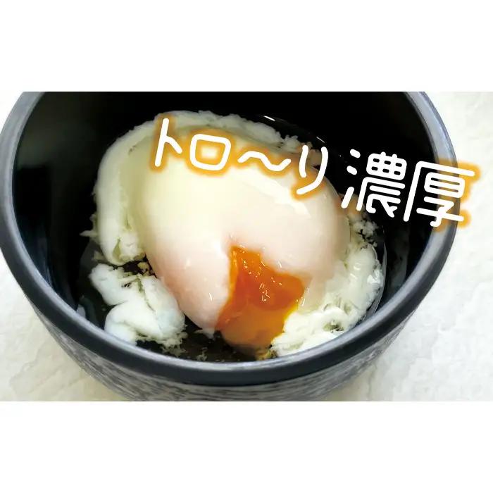 【定期便】［2ヵ月連続］伝承卵「みやこじ」18個（15個＋卵割れ補償3個）と「温泉たまご」12個（10個＋卵割れ補償2個）の詰合せ No.435