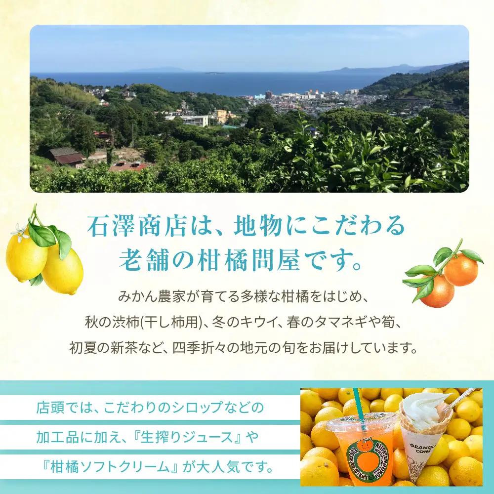 檸檬シロップ　520ml | 湯河原町 湘南 柑橘 レモン シロップ 手作り フルーツ アレンジ