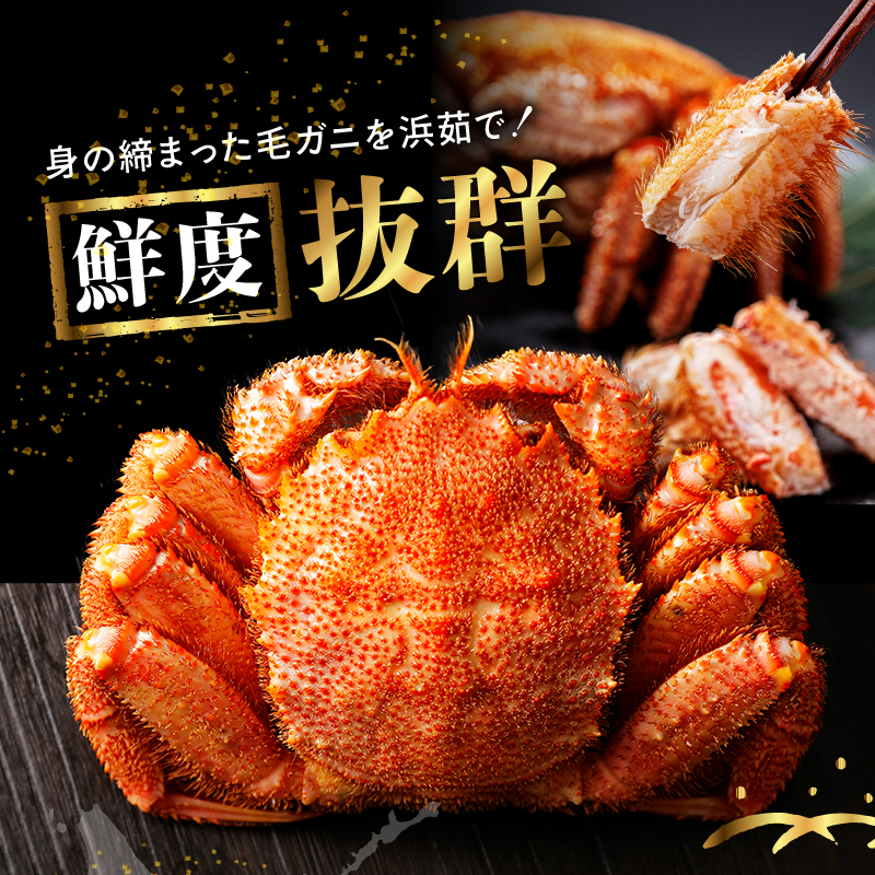 北海道産 毛ガニ1杯(700～730g)_H0001-131