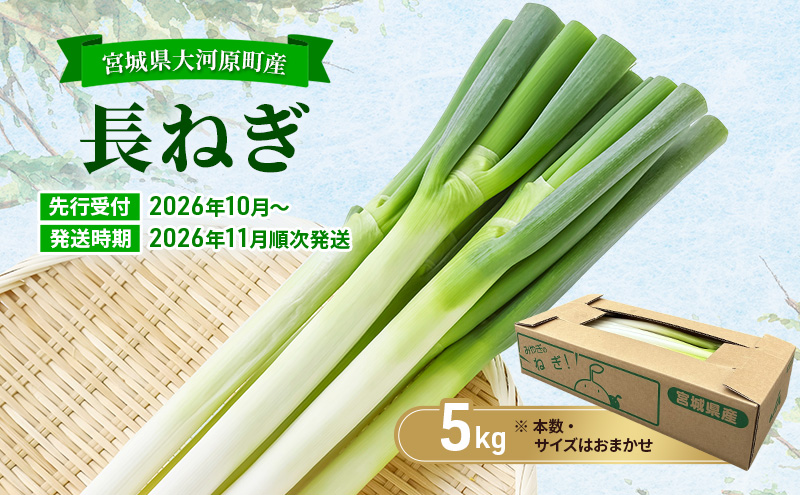 長ねぎ 約5kg 新鮮 野菜 ねぎ 葱 野菜 やさい 新鮮 鍋 薬味 焼きネギ 業務用 家庭用 宮城県 大河原町