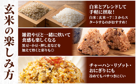 玄米 10kg さこんたろう《90日以内に発送予定(土日祝除く)》熊本県 御船町 コメ おこめ ごはん 熊本県産