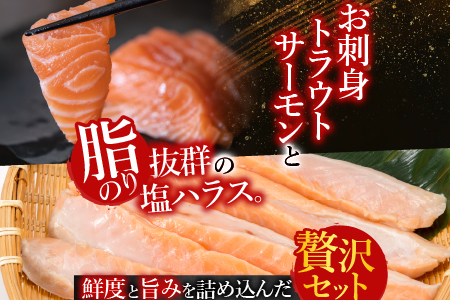お刺身トラウトサーモン800g＆塩サーモンハラス440g A-09033