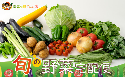 旬の野菜宅配便 60P3205　/ 東北 秋田 大館 野菜 新鮮 農産物 農家 じゃがいも 玉ねぎ とうもろこし なす きゅうり ピーマン インゲン トマト かぼちゃ 漬物 りんご 梨 果物 みょうが
