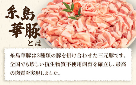 糸島華豚 ロース肉 しゃぶしゃぶ用 1.2kg《糸島》【糸島ミートデリ工房】 [ACA092] 豚肉しゃぶしゃぶ 豚ロース 赤身肉 小分け しゃぶしゃぶ 鍋 切り落とし 華豚 豚肉しゃぶしゃぶ 豚肉し