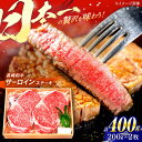 【ふるさと納税】 長崎和牛 特選 A5ランク サーロインステーキ 計400g（200g×2枚） / ステーキ すてーき ステーキ肉 和牛 牛肉 ぎゅうにく 国産牛 牛 肉 サーロイン さーろいん A5 焼肉 / 諫早市 / 焼肉おがわ [AHCD001]