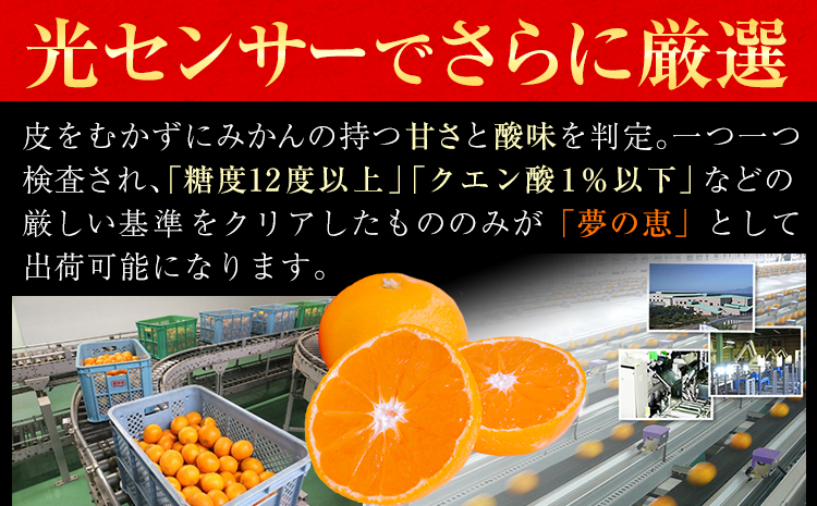 夢の恵 みかん 約2.5kg(20玉〜30玉前後) 熊本県産 （長洲町産含む） 糖度12度以上 ブランドみかん ブランド 贈答用 贈り物《1月中旬-2月中旬頃より出荷予定》 熊本県 長洲町