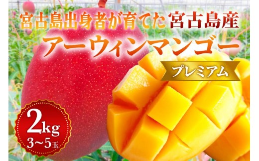【プレミアム】宮古島産マンゴー2kg ＜リトルグローブ＞（LT006）