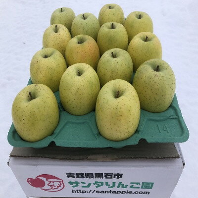 【ふるさと納税】農家直送　青森県産　王林　家庭用　約5kg(18個前後入り)　甘い青りんごの定番【1598177】