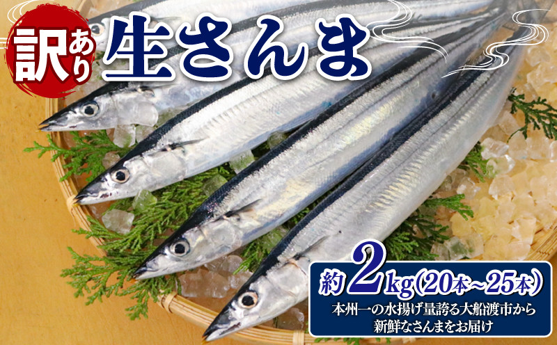 
訳あり 生さんま 約2kg（20本～25本）鮮魚 魚 さんま サンマ 旬 季節 秋 期間限定 季節限定 数量限定 三陸 岩手県 大船渡 岩手県大船渡市
