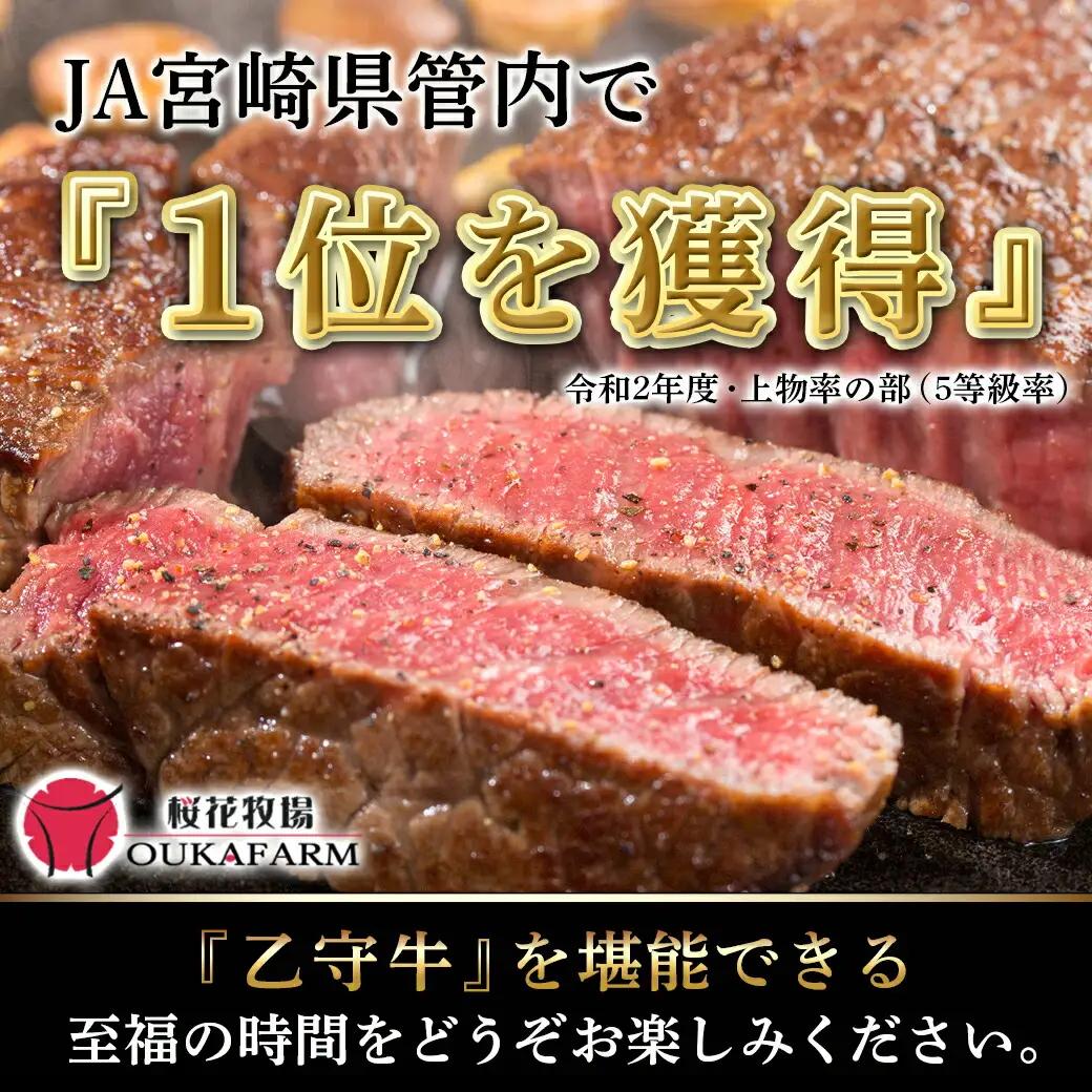 ≪限定200セット≫隔月6回お届け!【宮崎牛A5】焼肉6種盛り(乙守牛）〔T192-6-6501〕_(都城市) 都城産宮崎牛 A5 焼肉6種盛 各100g ロース/肩ロース/ウデ/バラ/モモ(赤身)/