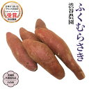 【ふるさと納税】 ふくむらさき 〈 選べる内容量 〉 【茨城県共通返礼品／行方市】2024年11月から発送開始 渋谷農園 さつまいも いも 紫芋 芋 焼芋 [DT003sa]