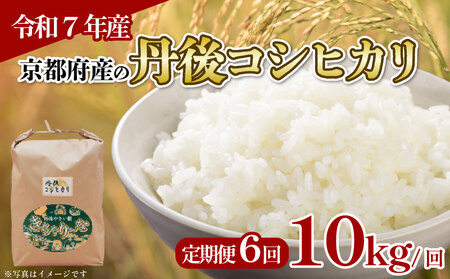 【令和7年産】定期便 6回 丹後コシヒカリ 10kg 精米 白米 コシヒカリ