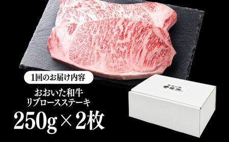 【全6回定期便】おおいた和牛 リブロースステーキ 500g(250g×2枚) 日田市 / 株式会社OTOGINO[AREF138]