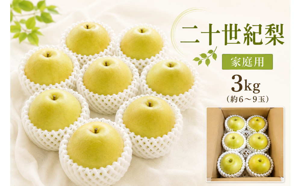 【2026年度先行予約】数量限定　鳥取県産　二十世紀梨　家庭用　3kg(約6〜9玉)【8月20日以降発送】 313726_DE008