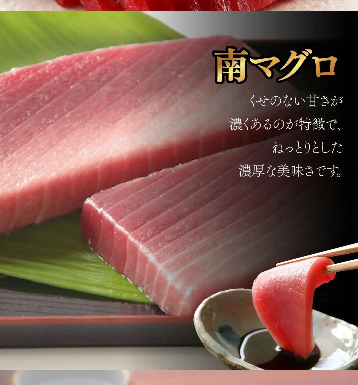 【中トロ】天然南マグロ　中トロ　１柵　【解凍書付】まぐろ 鮪 海鮮 冷凍 さしみ 刺身 父の日 高知 室戸 マグロ
