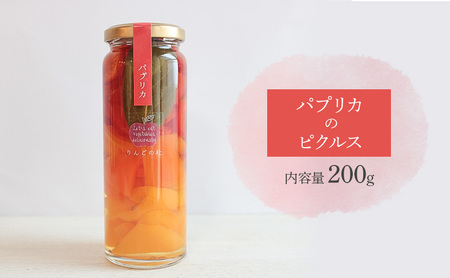 ピクルスギフト3本セット(野菜ミックス/林檎とベリー/パプリカ 各1本200g) ピクルス 野菜 パプリカ 林檎 ベリー おつまみ サラダ 漬物 手作り 添加物なし 贈答用 化粧箱入 浜松市