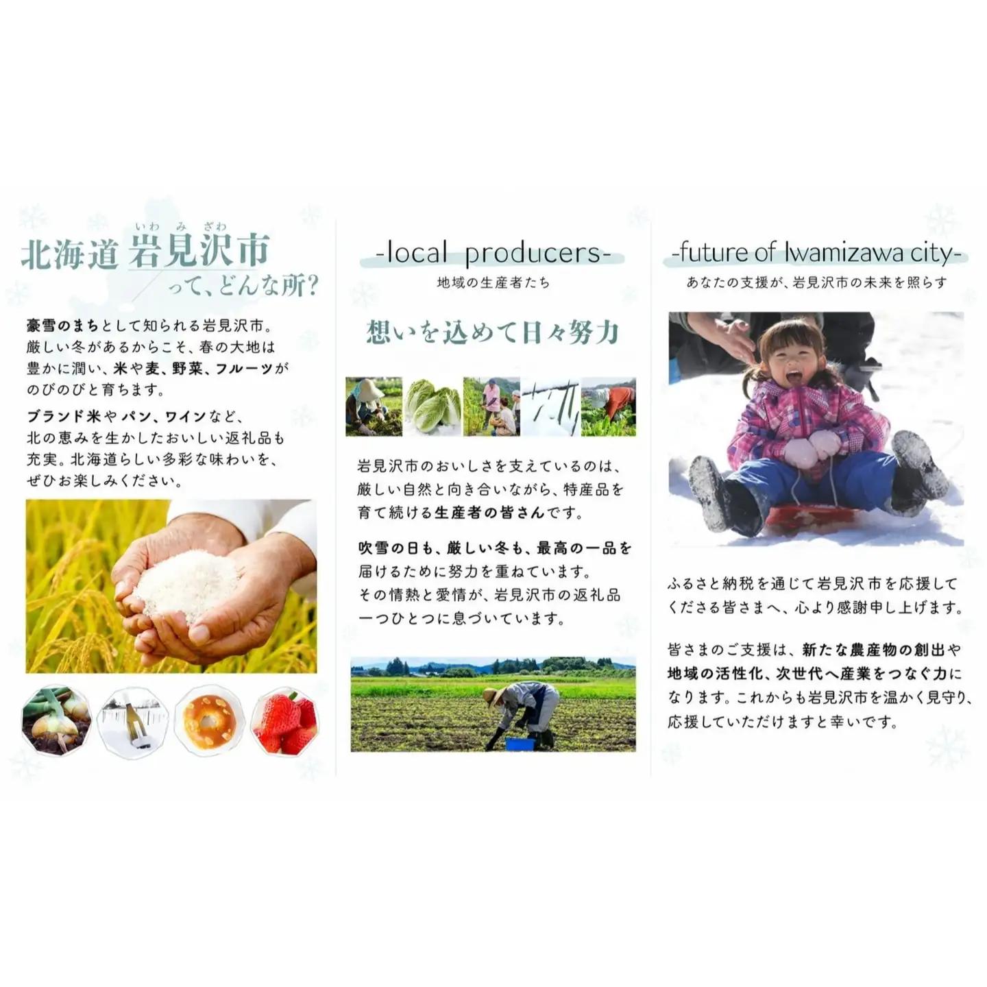 北海道岩見沢市産 紫玉ねぎ20個【09107】