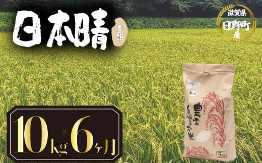 【 令和7年産 米 10kg 定期便 6ヶ月 】 日本晴 米 玄米 国産 滋賀県 日野町 農家直送 お米 おこめ こめ 産地直送 ふるさと納税