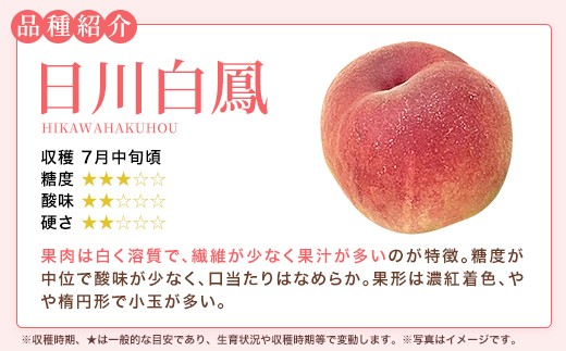 もも【日川白鳳・2027年先行予約】特秀2.5kg（7～9玉）桑折町振興公社 ／ もも モモ 果物 早生桃 桃 白桃 フルーツ 2.5kg 大容量 特秀品 果汁たっぷり やわらかい 甘い果物 家庭用 