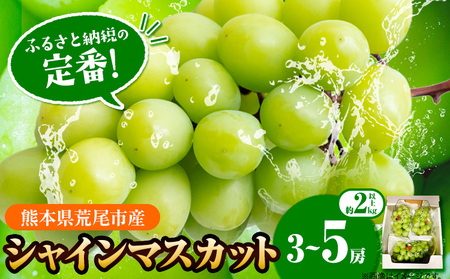 【先行予約】シャインマスカット 2kg(3~5房) フレッシュフーズ 《8月上旬-9月上旬頃出荷》熊本県産(荒尾市産) 柑橘 フルーツ フレッシュフーズ シャインマスカット 果物 美味しいシャインマスカット 旬のシャインマスカット ジューシーシャインマスカット フルーツシャインマスカット