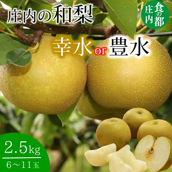 【ふるさと納税】食の都庄内　庄内の和梨【幸水or豊水】約2.5kg　※8月下旬より順次配送（有限会社庄内旬青果）
