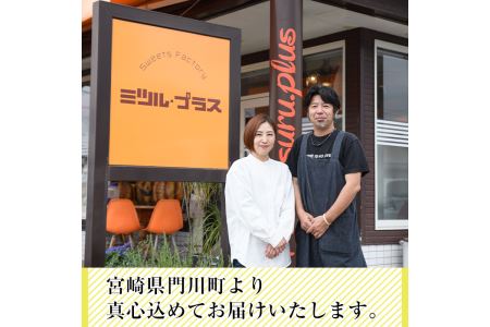 【I-2】＜先行予約受付中！2024年3月以降順次発送予定＞自家製こだわり製法！自家製ジェラート(9個)【ミツル・プラス】