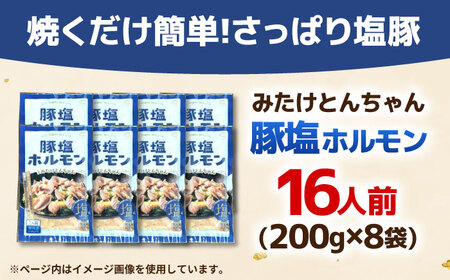 岐阜県産豚もつの鉄板焼き「元祖みたけとんちゃん」豚塩味（16人前） / モツ もつ 白もつ ホルモン / 御嵩町 / 藤よし[AVAA046]