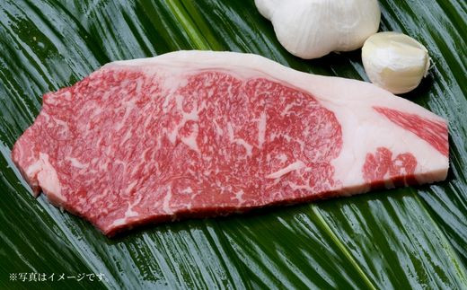 熱を加えた時、舌の上でサシが溶け、筋肉のもつ味と脂肪の香りからうまれる特有の旨味が口いっぱいに広がります。