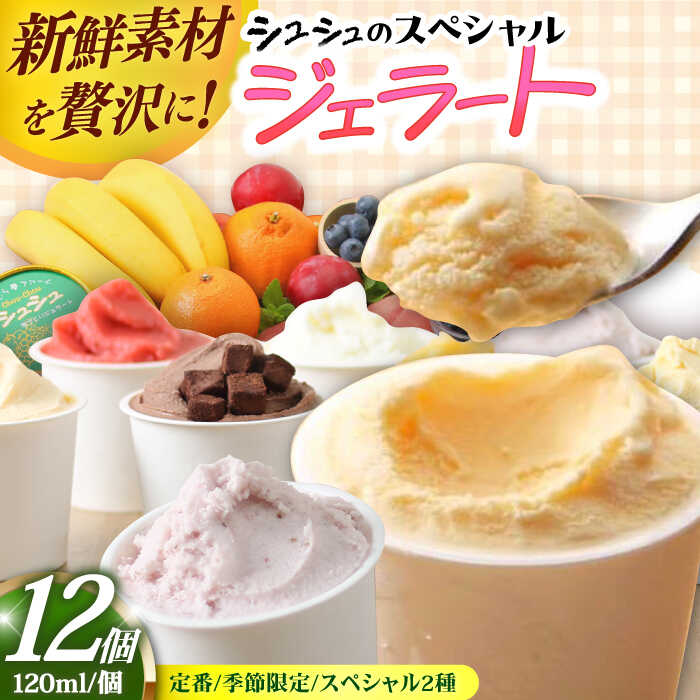 【ふるさと納税】シュシュのジェラート12個セット（定番/季節限定/スペシャル2種） / アイス あいす アイスクリーム あいすくりーむ ジェラート じぇらーと スイーツ すいーつ / 大村市 / おおむら夢ファームシュシュ[ACAA038]