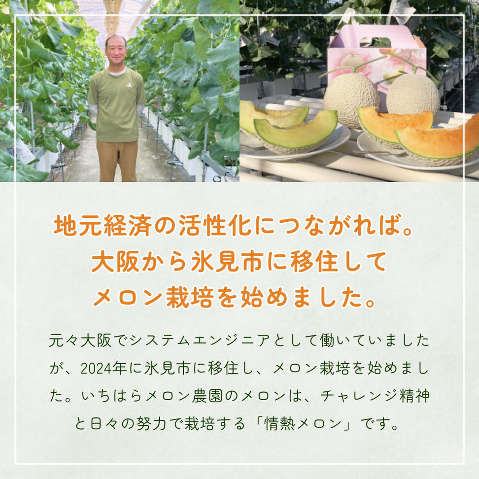 〈先行予約〉 アールスメロン 2個セット 計3.5kg以上（青肉