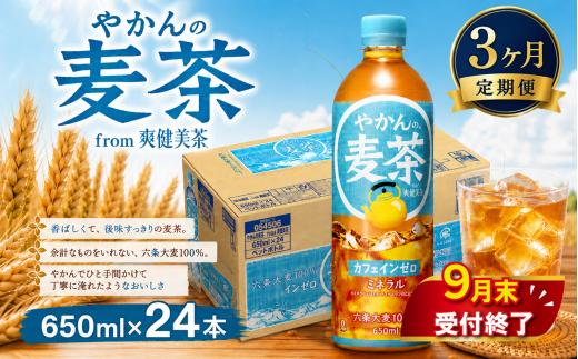 【 3ヶ月 定期便 】やかんの麦茶 PET 650ml × 24本 セット 【9月末掲載終了】 お茶 麦茶 むぎ茶 ペットボトル ぺっとぼとる ぺっと お茶 おちゃ 御茶 茶葉 飲料 ドリンク 飲み物 のみもの 飲物 tea 防災グッズ 日用品 日常使い 生活用品 防災 備蓄 食べ物以外 コカコーラ 関東 神奈川 海老名