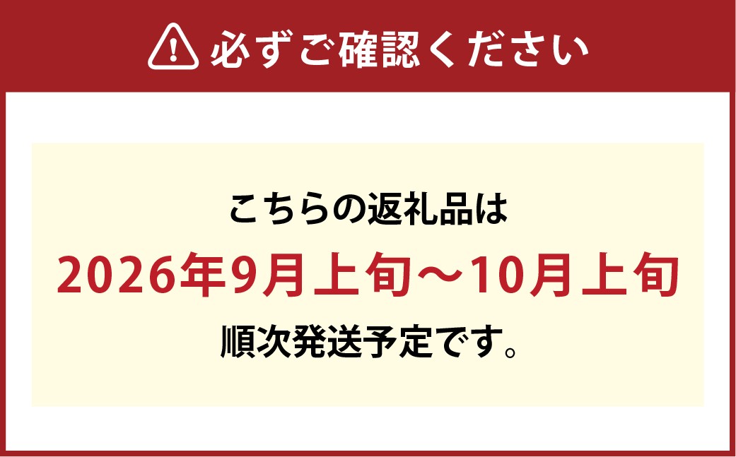 【訳あり】家庭用シャインマスカット 700g以上2房入り 1.4kg以上