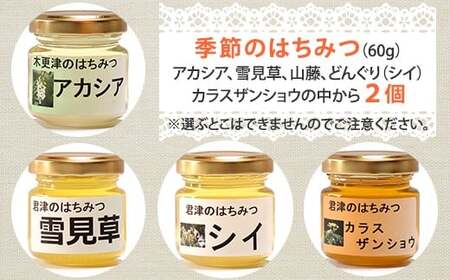 純国産  山桜 はちみつ 260g ＆ 季節のはちみつセット 60g×2個｜非加熱 純粋 天然 蜂蜜 単花蜜 やまざくら ハチミツ ギフト｜千葉県 君津市